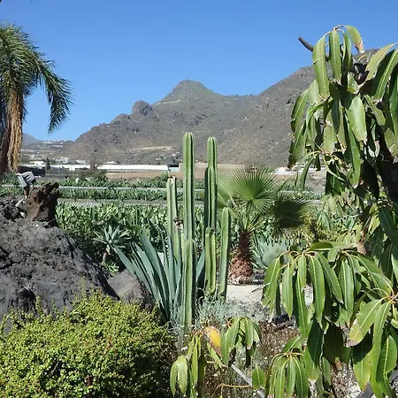 Finca Llanitos I Puerto de Santiago (Tenerife)