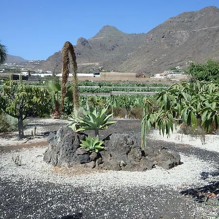 Finca Llanitos I