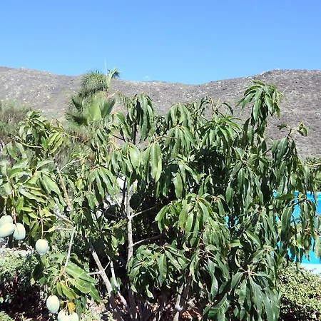 Finca Llanitos I